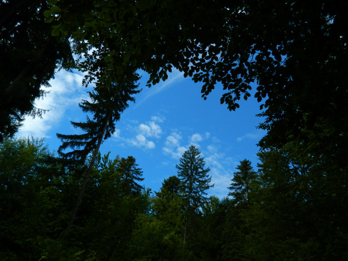 DSCN9843 - 1 VACANTA SEPTEMBRIE 2012