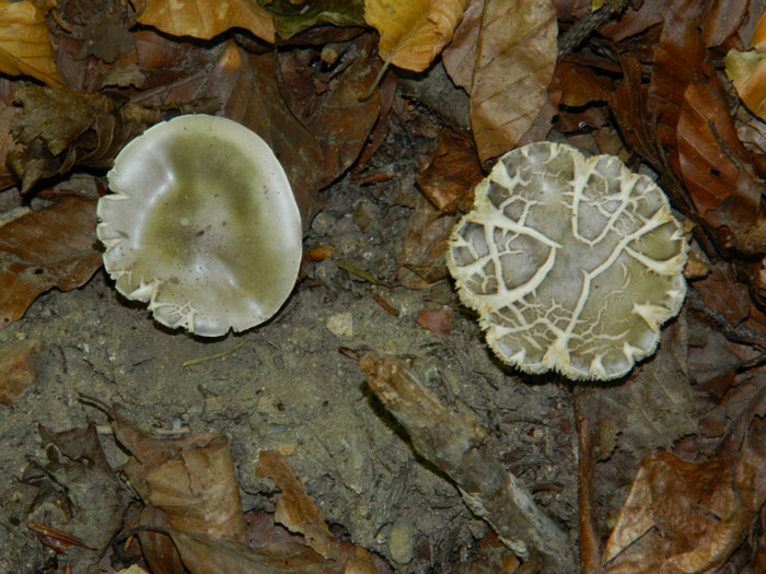 DSCN9848 - 1 VACANTA SEPTEMBRIE 2012