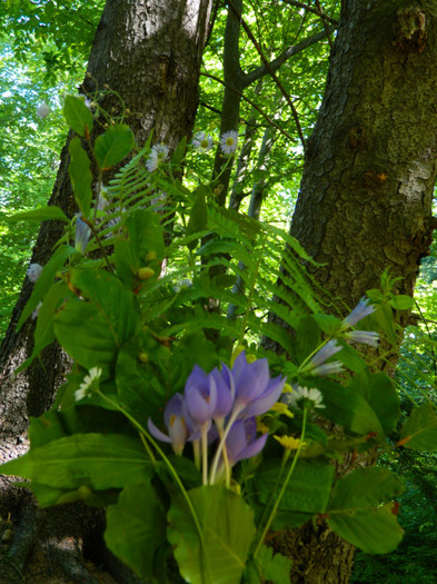 DSCN9849 - 1 VACANTA SEPTEMBRIE 2012