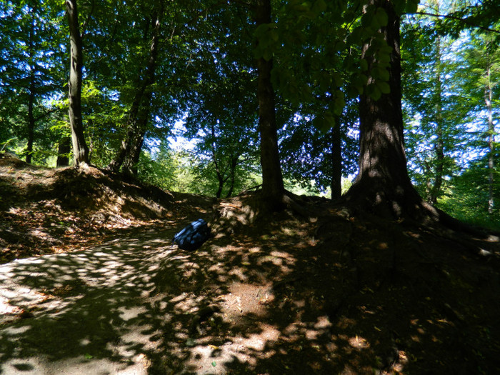 DSCN9855 - 1 VACANTA SEPTEMBRIE 2012