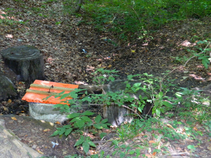 DSCN9857 - 1 VACANTA SEPTEMBRIE 2012