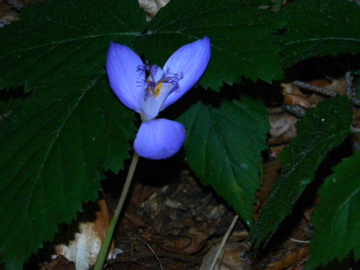 DSCN9861 - 1 VACANTA SEPTEMBRIE 2012