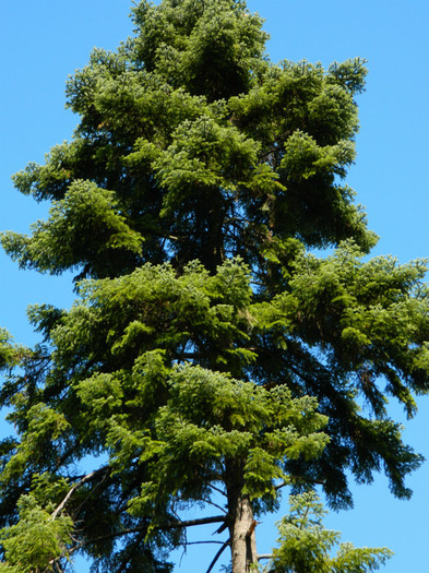 DSCN9875 - 1 VACANTA SEPTEMBRIE 2012