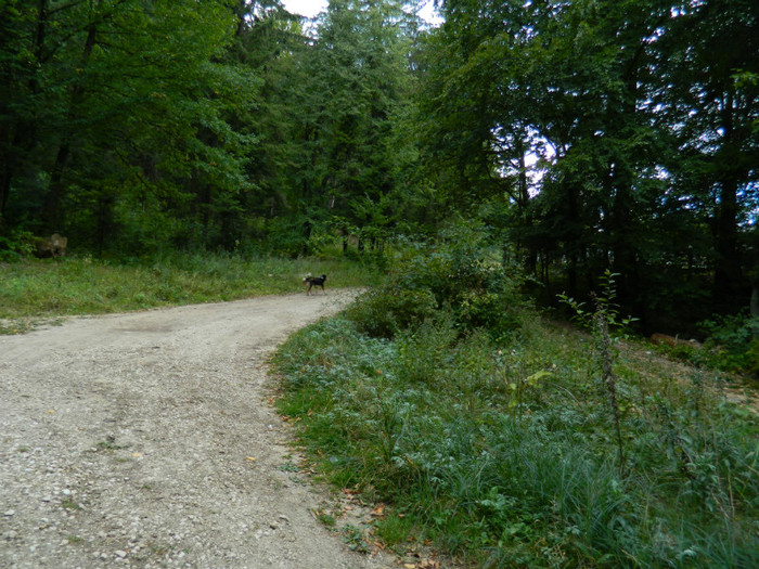 DSCN9935 - 1 VACANTA SEPTEMBRIE 2012