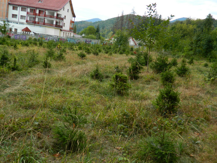 DSCN9943 - 1 VACANTA SEPTEMBRIE 2012