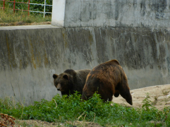 DSCN9957 - 1 VACANTA SEPTEMBRIE 2012