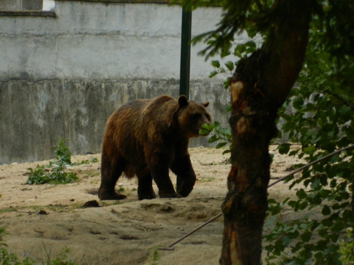 DSCN9963 - 1 VACANTA SEPTEMBRIE 2012