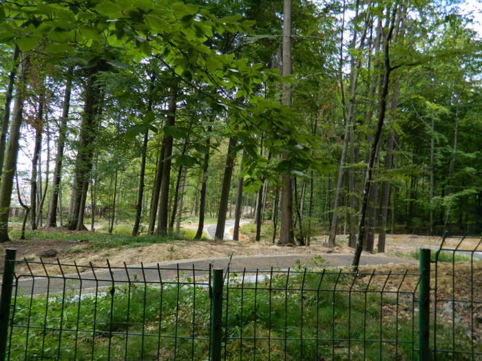 DSCN9970 - 1 VACANTA SEPTEMBRIE 2012