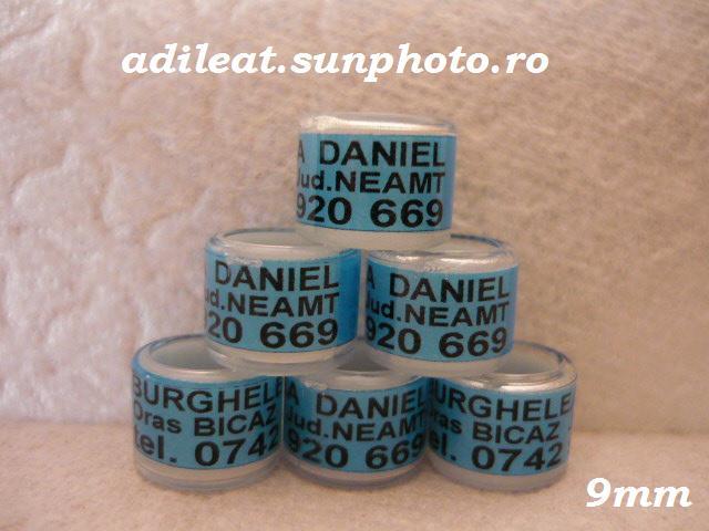 www.adileat.sunphoto.ro - 1-A-INELE PERSONALIZATE 2013