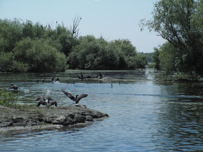 DELTA DUNARI - ROMANIA