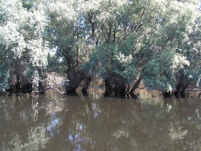 DELTA DUNARI - ROMANIA