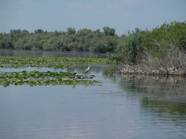 DELTA - ROMANIA