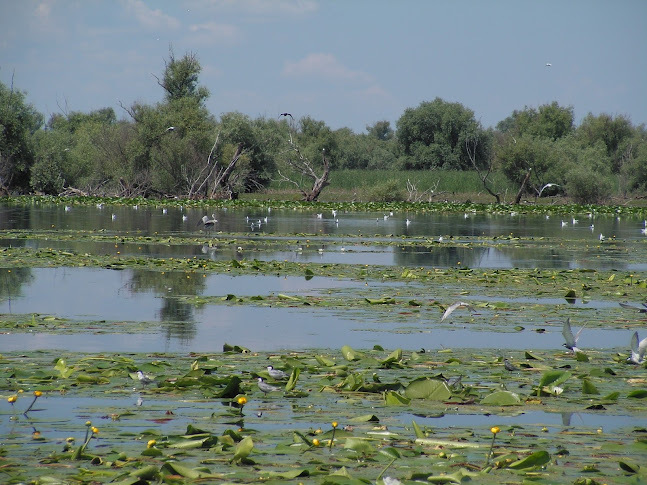 DELTA DUNARI - ROMANIA