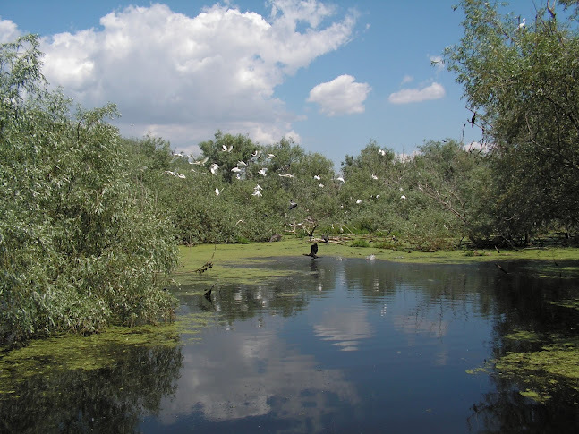 DELTA DUNARI - ROMANIA