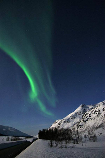 Picture6 - Aurora boreala