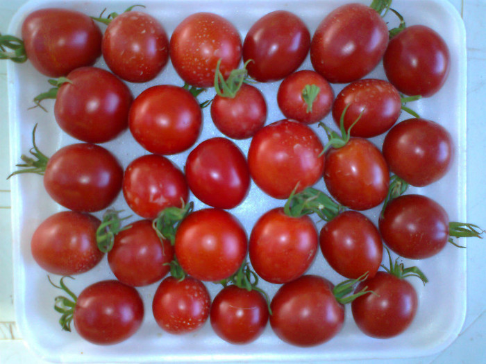 CHERRY GRANDE; CHERRY GRANDE
