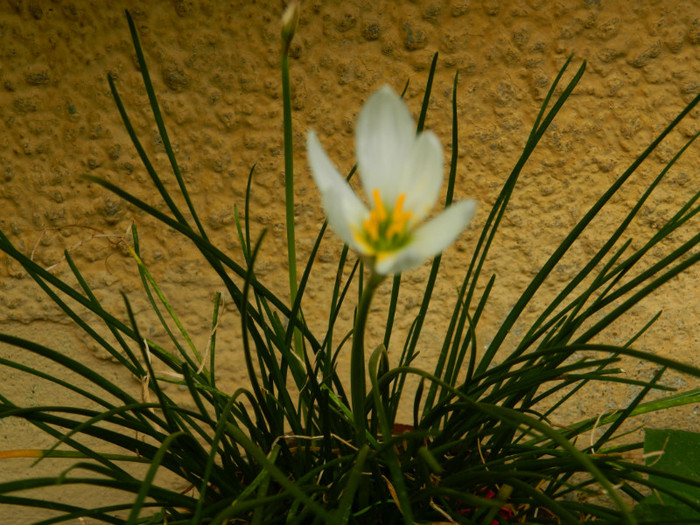 DSCN9595 - SEPTEMBRIE 2012