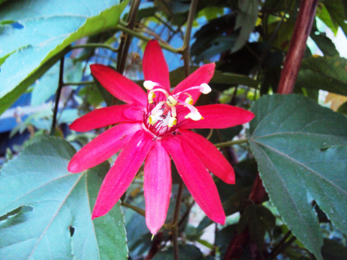 DSC00550