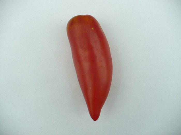 P1070551 - Rosii