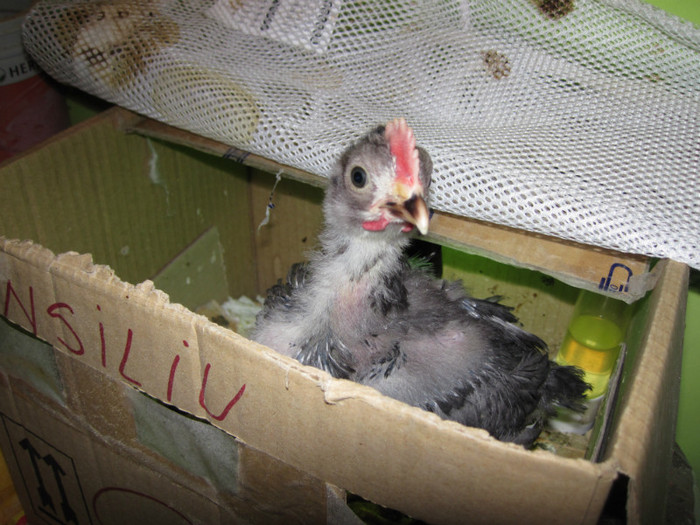 19.sept.2012