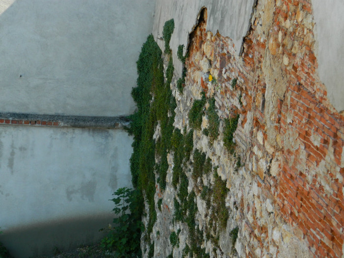 DSCN0502 - 3 Vacanta Septembrie 2012