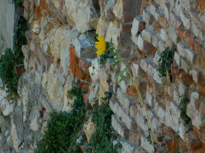 DSCN0503 - 3 Vacanta Septembrie 2012