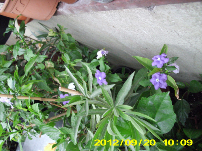 2012-07-08 391