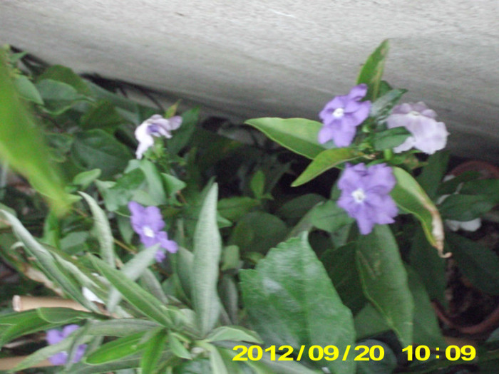 2012-07-08 390