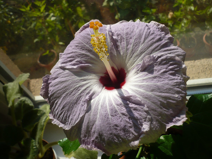 P1180456