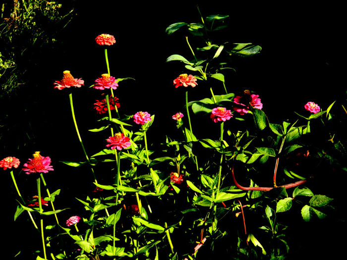 DSCN1846 - SEPTEMBRIE 2012