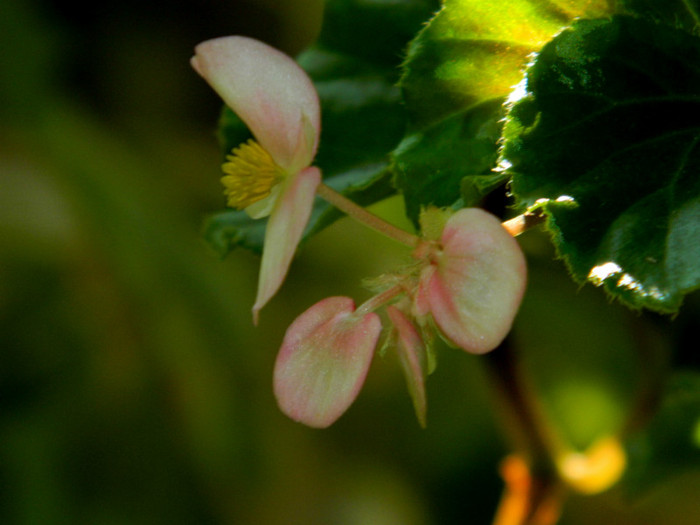 DSCN1910 - SEPTEMBRIE 2012