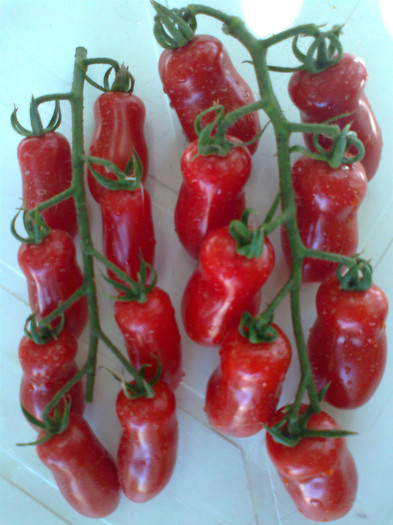 9-SAN MARZANO; 9-SAN MARZANO
