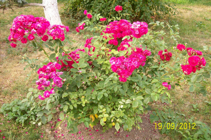 100_9209