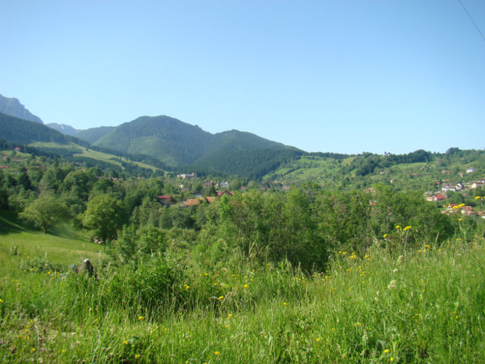 DSC09201 - Bran - Bucegi