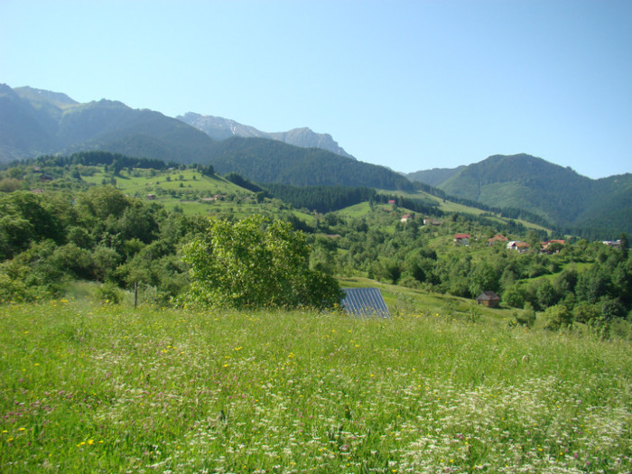 DSC09207 - Bran - Bucegi