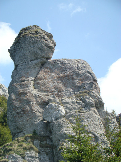 DSC09250