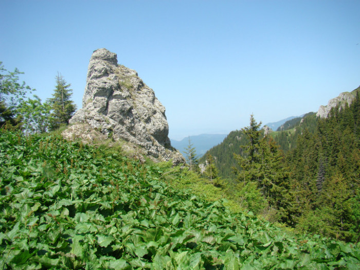 DSC09254