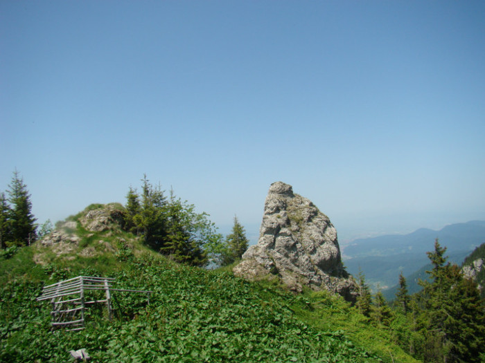DSC09257