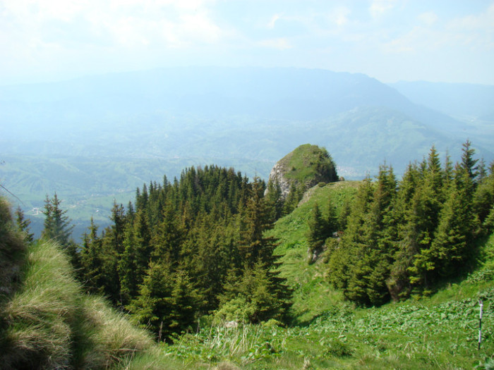 DSC09261
