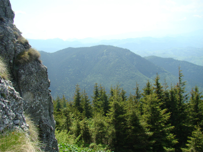 DSC09262 - Bran - Bucegi