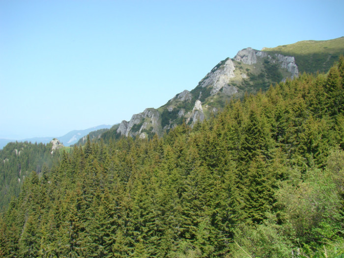 DSC09264