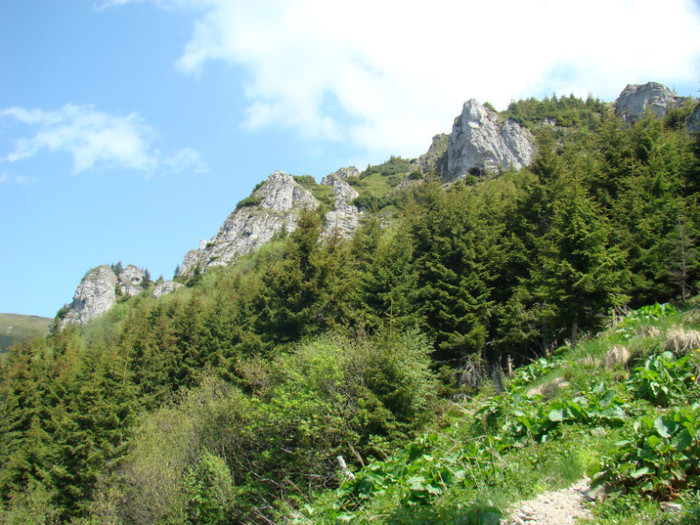 DSC09265