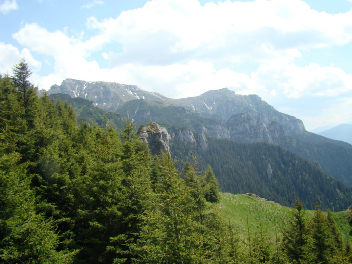 DSC09270