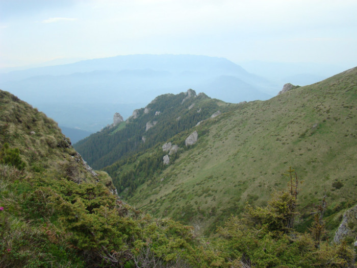 DSC09287