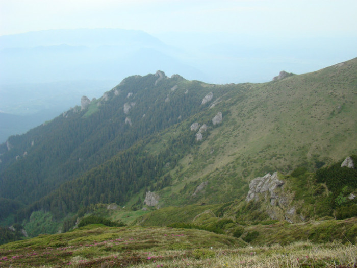 DSC09296