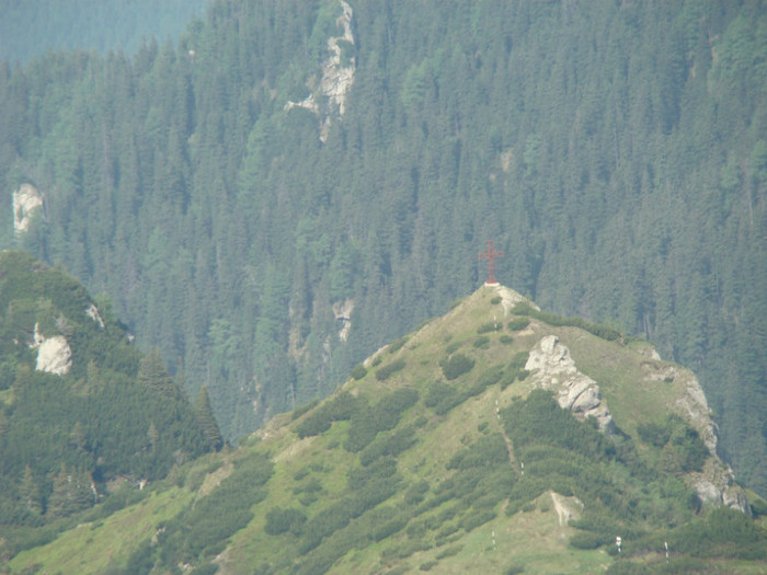 DSC09304