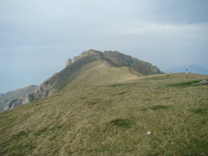 DSC09307