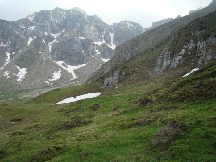 DSC09311