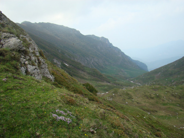 DSC09314