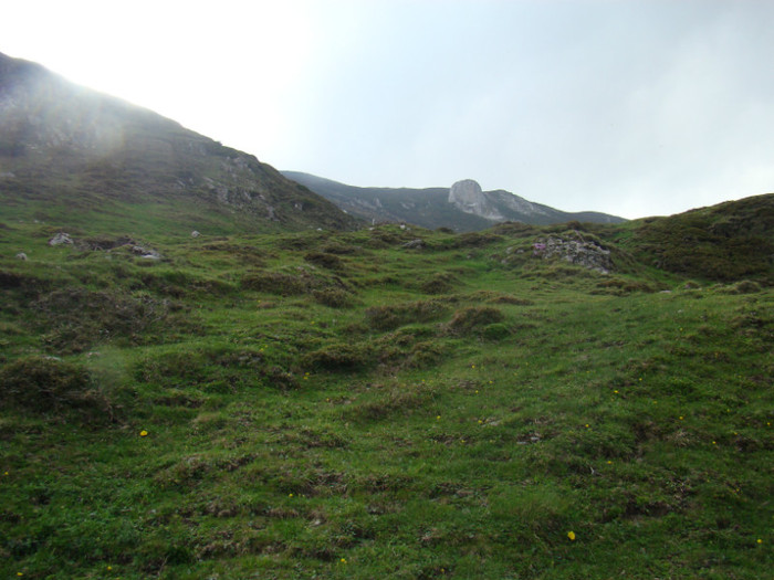 DSC09315